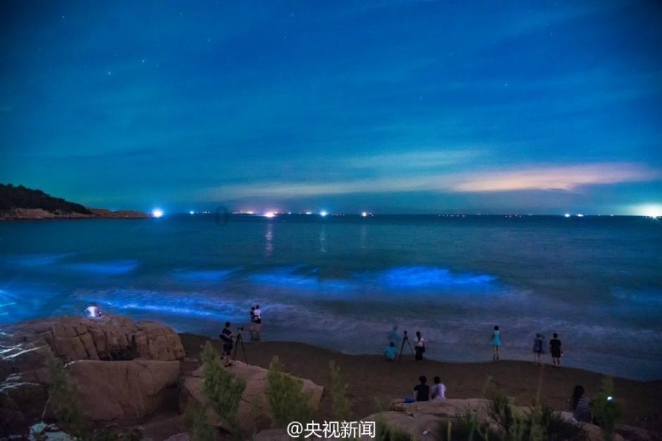 救援卡通熊仔